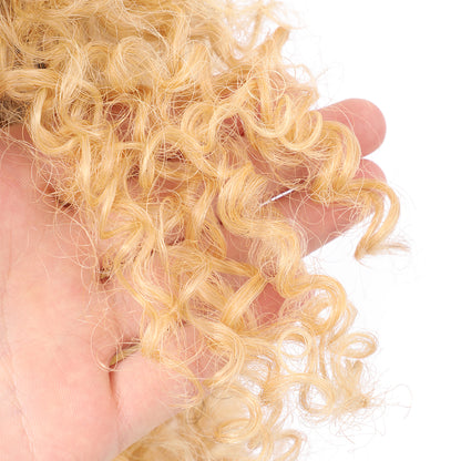 Short Afro Kinky Curly Wigs for Women Side Curved Side Part Natural Looking Big,Bouncy and Super Soft Premium Synthetic Afro Curls Wigs for Women Ombre Blonde