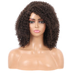 Short Afro Kinky Curly Wigs for Women Side Curved Side Part Natural Looking Big,Bouncy and Super Soft Premium Synthetic Afro Curls Wigs for Women Brown