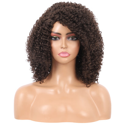 Short Afro Kinky Curly Wigs for Women Side Curved Side Part Natural Looking Big,Bouncy and Super Soft Premium Synthetic Afro Curls Wigs for Women Brown