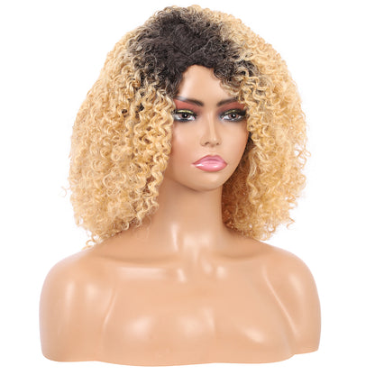 Short Afro Kinky Curly Wigs for Women Side Curved Side Part Natural Looking Big,Bouncy and Super Soft Premium Synthetic Afro Curls Wigs for Women Ombre Blonde
