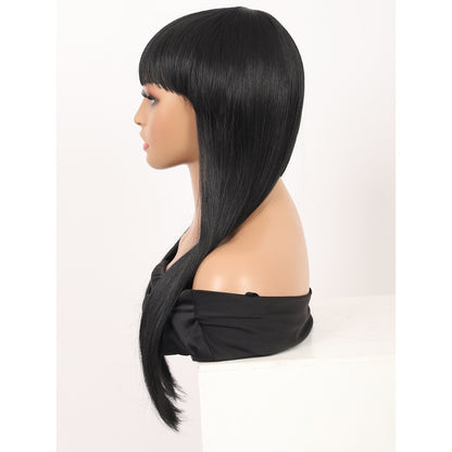 22" Long Straight Silky Smooth Synthetic Hair Wigs with Bangs for Women High Temperature Yaki Texture Full Hair Wigs for Women (Black)