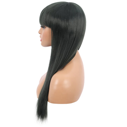 22" Long Straight Silky Smooth Synthetic Hair Wigs with Bangs for Women High Temperature Yaki Texture Full Hair Wigs for Women (Blackish Green)
