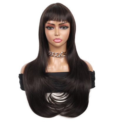 26 Inch Long Straight Synthetic Wig with Bangs Silky Full Hair Wigs for Women, Dark Brown