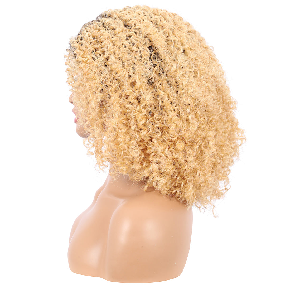 Short Afro Kinky Curly Wigs for Women Side Curved Side Part Natural Looking Big,Bouncy and Super Soft Premium Synthetic Afro Curls Wigs for Women Ombre Blonde