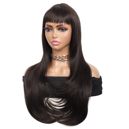 26 Inch Long Straight Synthetic Wig with Bangs Silky Full Hair Wigs for Women, Dark Brown