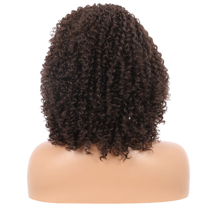 Short Afro Kinky Curly Wigs for Women Side Curved Side Part Natural Looking Big,Bouncy and Super Soft Premium Synthetic Afro Curls Wigs for Women Brown