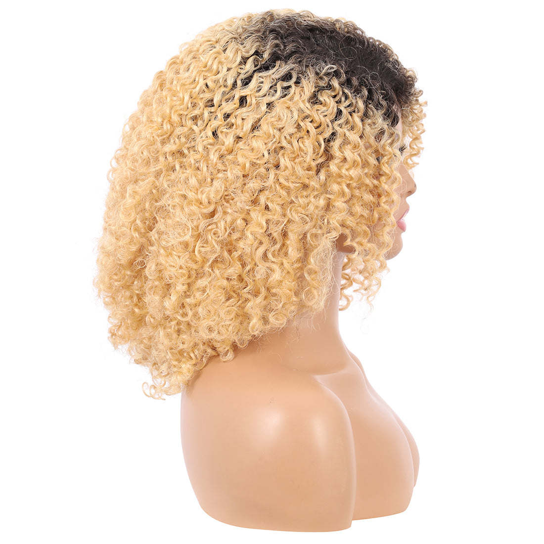 Short Afro Kinky Curly Wigs for Women Side Curved Side Part Natural Looking Big,Bouncy and Super Soft Premium Synthetic Afro Curls Wigs for Women Ombre Blonde