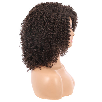 Short Afro Kinky Curly Wigs for Women Side Curved Side Part Natural Looking Big,Bouncy and Super Soft Premium Synthetic Afro Curls Wigs for Women Brown