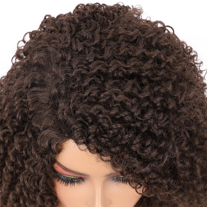 Short Afro Kinky Curly Wigs for Women Side Curved Side Part Natural Looking Big,Bouncy and Super Soft Premium Synthetic Afro Curls Wigs for Women Brown