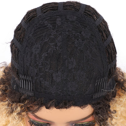 Short Afro Kinky Curly Wigs for Women Side Curved Side Part Natural Looking Big,Bouncy and Super Soft Premium Synthetic Afro Curls Wigs for Women Ombre Blonde