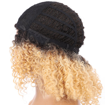 Short Afro Kinky Curly Wigs for Women Side Curved Side Part Natural Looking Big,Bouncy and Super Soft Premium Synthetic Afro Curls Wigs for Women Ombre Blonde
