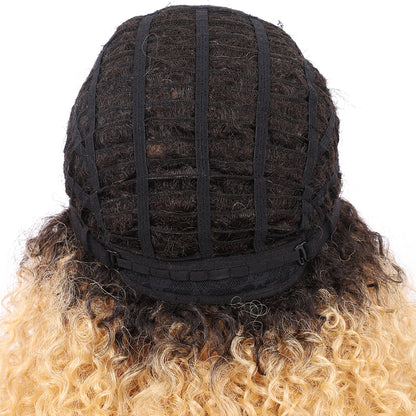 Short Afro Kinky Curly Wigs for Women Side Curved Side Part Natural Looking Big,Bouncy and Super Soft Premium Synthetic Afro Curls Wigs for Women Ombre Blonde