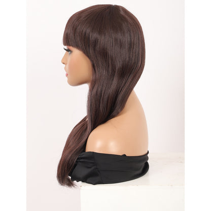 22" Long Straight Silky Smooth Synthetic Hair Wigs with Bangs for Women High Temperature Yaki Texture Full Hair Wigs for Women (Brown)