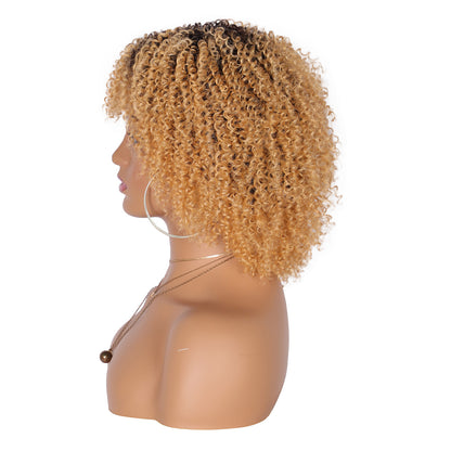 8" Synthetic Short Afro Kinky Curly Wigs for Black Women Realistic Curly Wigs with Hair Bangs Lightweight Soft Bouncy Curls Hair Wigs（Ombre blonde 2）