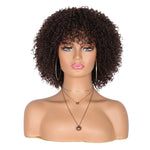 8" Synthetic Short Afro Kinky Curly Wigs for Black Women Realistic Curly Wigs with Hair Bangs Lightweight Soft Bouncy Curls Hair Wigs（Brown）