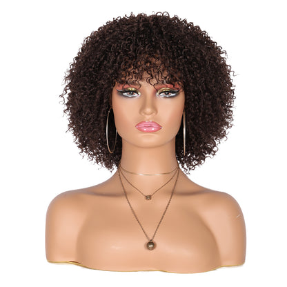 8" Synthetic Short Afro Kinky Curly Wigs for Black Women Realistic Curly Wigs with Hair Bangs Lightweight Soft Bouncy Curls Hair Wigs（Brown）