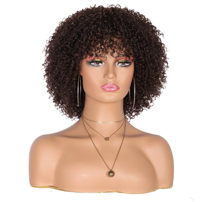 8" Synthetic Short Afro Kinky Curly Wigs for Black Women Realistic Curly Wigs with Hair Bangs Lightweight Soft Bouncy Curls Hair Wigs（Brown）