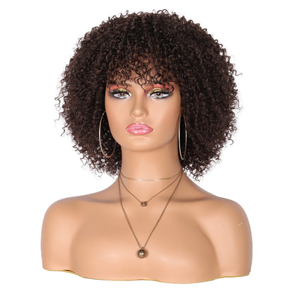 8" Synthetic Short Afro Kinky Curly Wigs for Black Women Realistic Curly Wigs with Hair Bangs Lightweight Soft Bouncy Curls Hair Wigs（Brown）