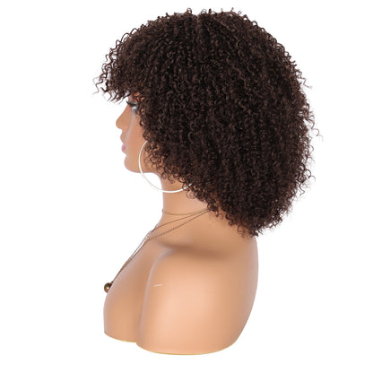 8" Synthetic Short Afro Kinky Curly Wigs for Black Women Realistic Curly Wigs with Hair Bangs Lightweight Soft Bouncy Curls Hair Wigs（Brown）