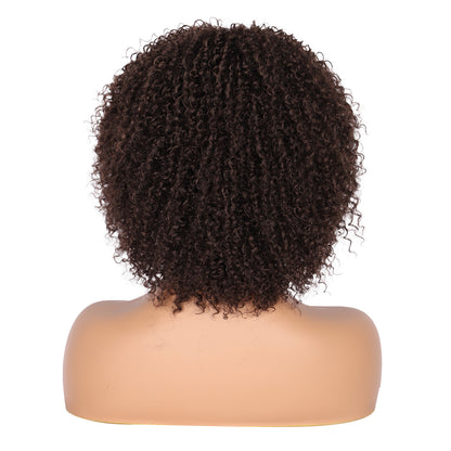 8" Synthetic Short Afro Kinky Curly Wigs for Black Women Realistic Curly Wigs with Hair Bangs Lightweight Soft Bouncy Curls Hair Wigs（Brown）